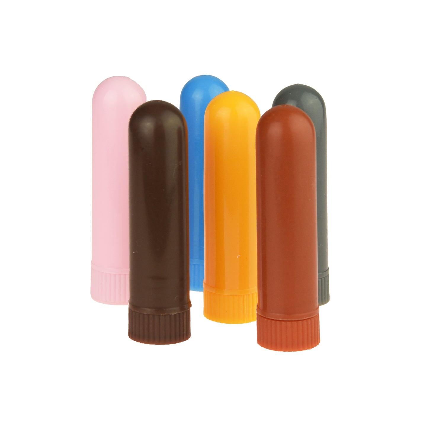 Nose pencil container (pack of 6 in various colours)